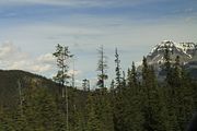 26 - Banff to Icefields - IMG_0941